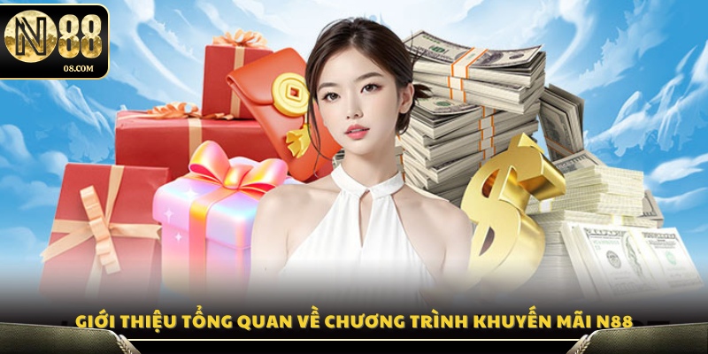 Sơ lược về chương trình khuyến mãi N88
